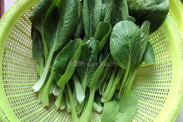 蒜蓉小油菜的做法图解1