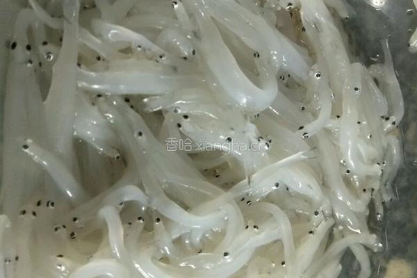 银鱼煎蛋的做法图解1