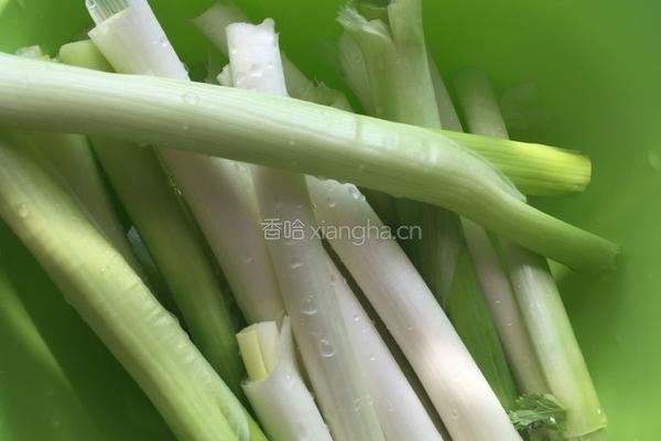 芹菜水饺的做法图解3