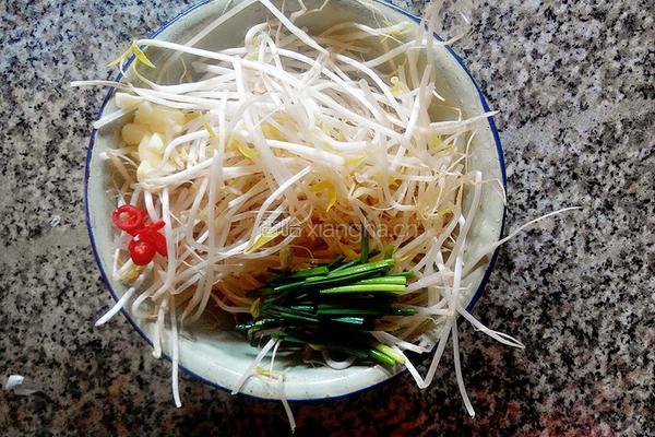 炒绿豆芽的做法图解1