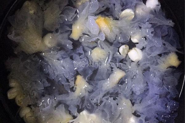 银耳莲子羹的做法图解3