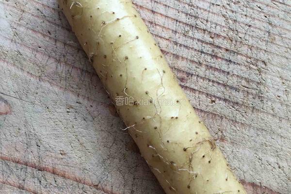 山药炖排骨的做法图解5