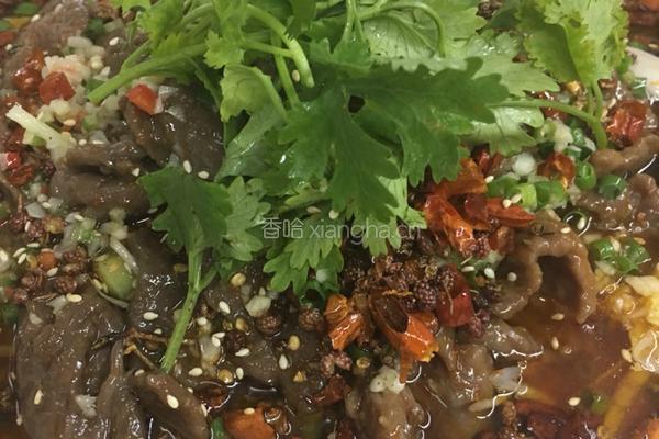 水煮牛肉的做法图解10