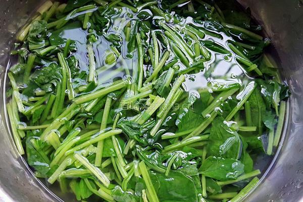 菠菜鸡蛋汤的做法图解4