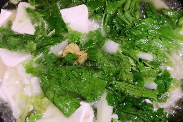白菜豆腐汤的做法图解9