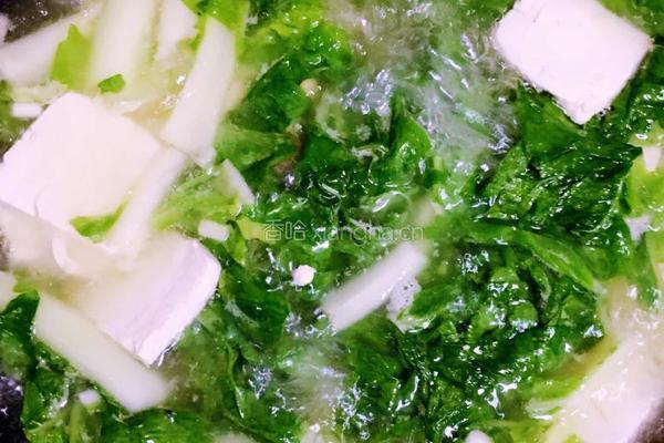 白菜豆腐汤的做法图解10
