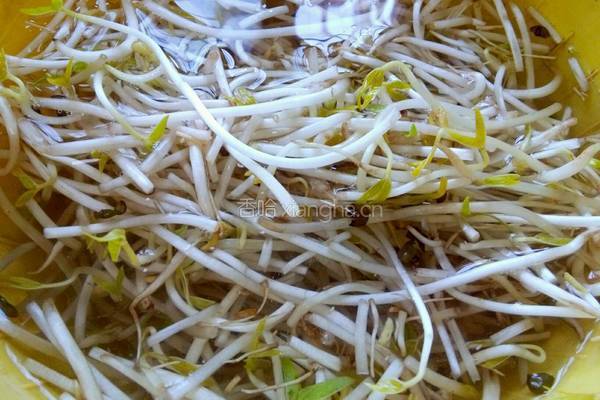 绿豆芽炒韭菜的做法图解3
