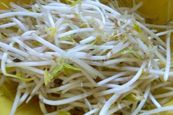 绿豆芽炒韭菜的做法图解4