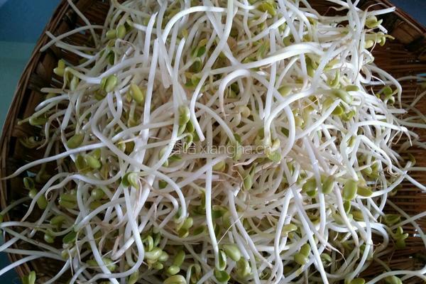 凉拌黄豆芽的做法图解1