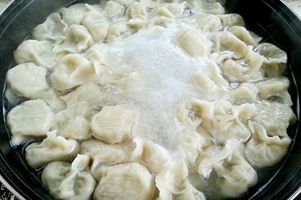茴香饺子的做法图解15