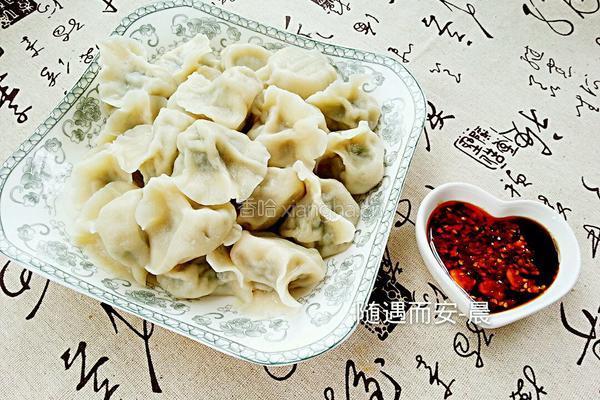茴香饺子的做法图解16