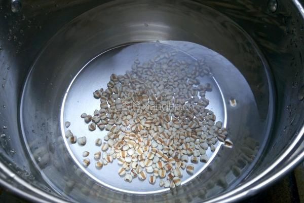 绿豆薏仁汤的做法图解2