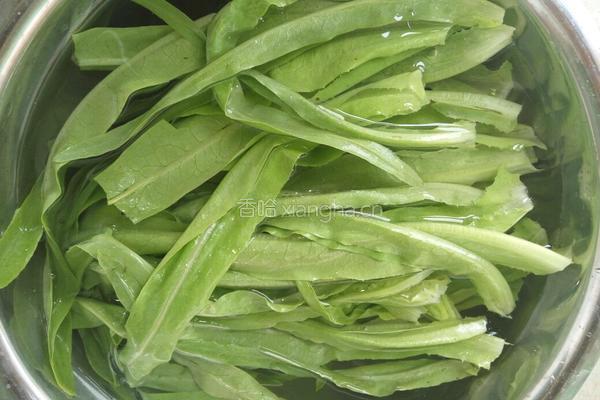 蒜蓉油麦菜的做法图解2