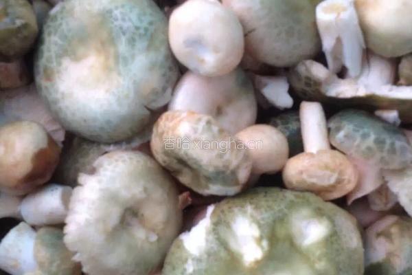 菌火锅的做法图解3