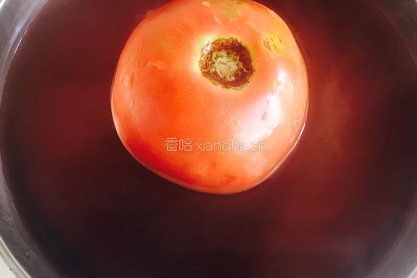 西红柿炒茄子的做法图解4