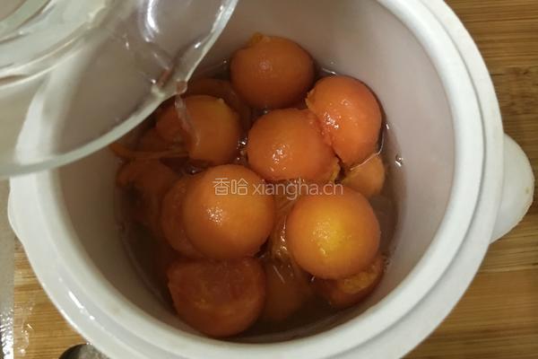 木瓜牛奶的做法图解7