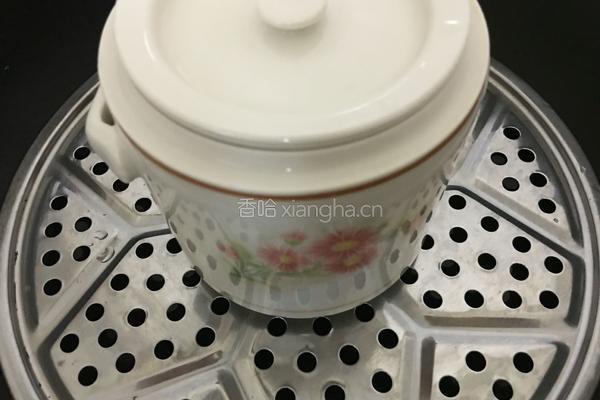 木瓜牛奶的做法图解8