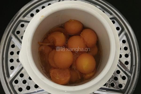 木瓜牛奶的做法图解9