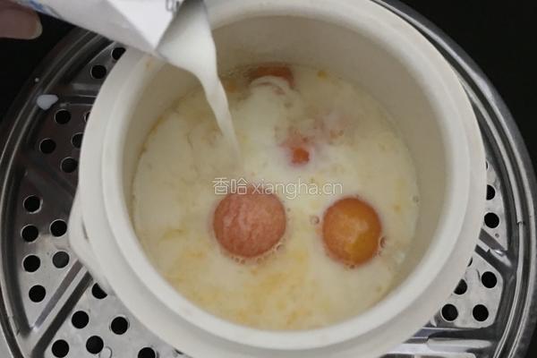 木瓜牛奶的做法图解10