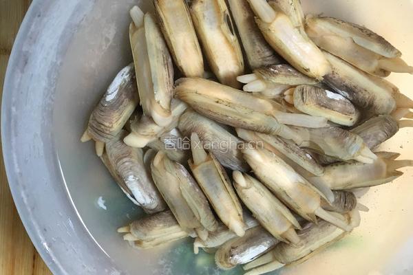 姜葱炒蛏子的做法图解2