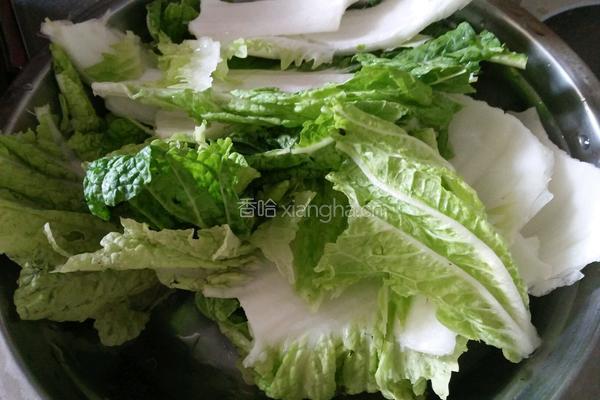 白菜饺子的做法图解1