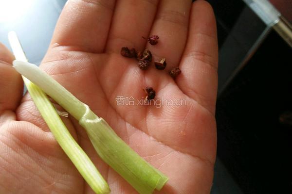 白菜饺子的做法图解9