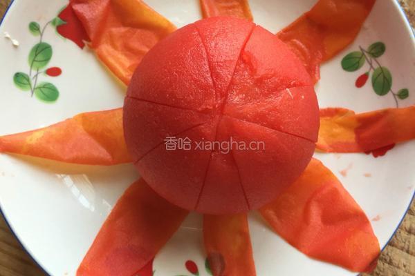 凉拌西红柿的做法图解6