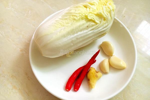 素炒白菜的做法图解1