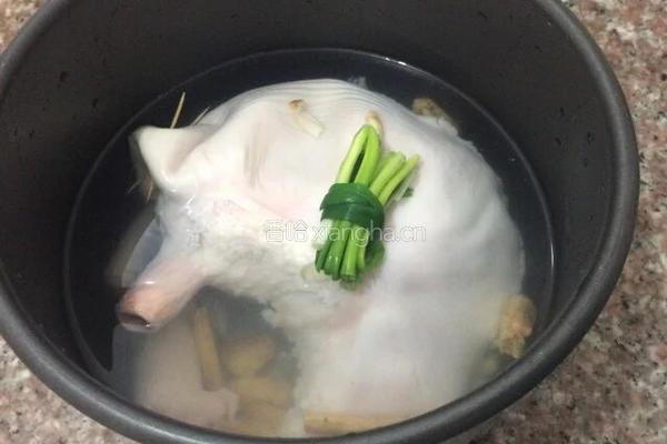 猪肚浸鸡的做法图解6