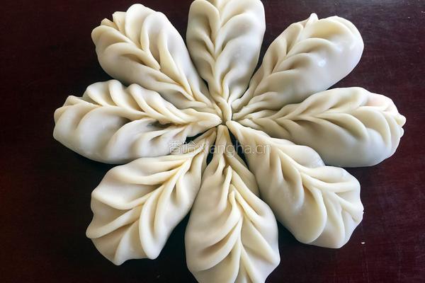 香菇猪肉蒸饺的做法图解12