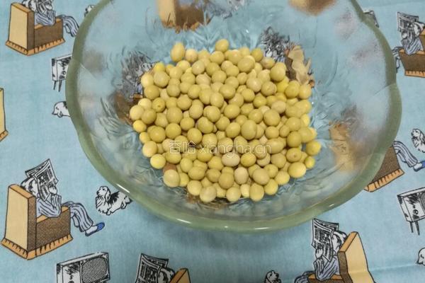 黄豆猪蹄汤的做法图解1