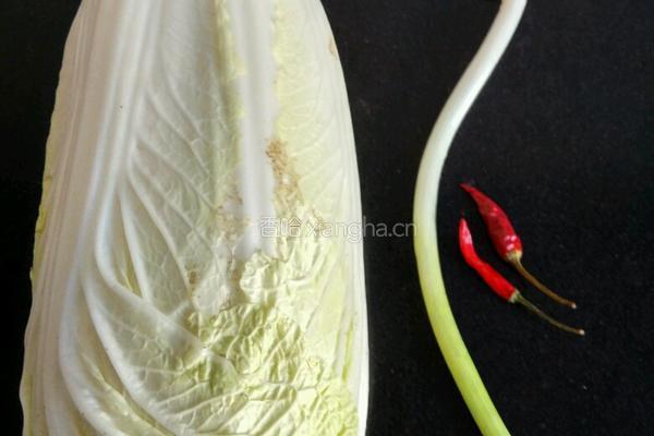 手撕白菜的做法图解1