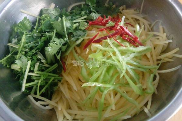 呛拌香菜土豆丝的做法图解9
