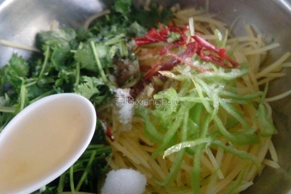 呛拌香菜土豆丝的做法图解14