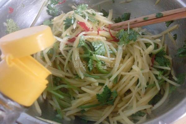 呛拌香菜土豆丝的做法图解16