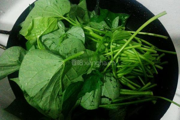 炒红薯叶的做法图解2