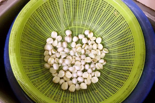 排骨汤的做法图解2