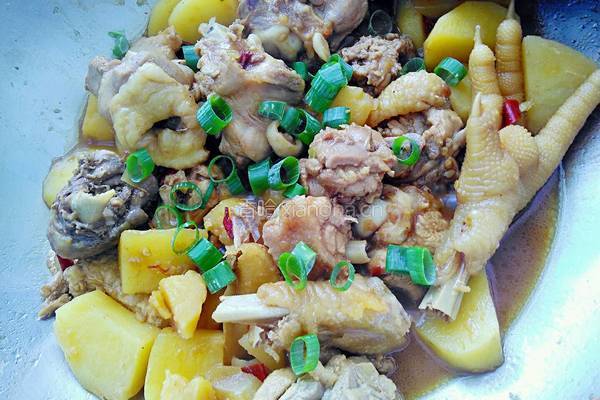 土豆炖鸡的做法图解15