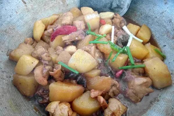 鸡肉炖土豆的做法图解11