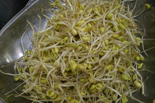 醋溜豆芽的做法图解1