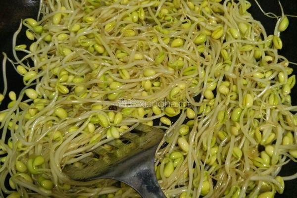 醋溜豆芽的做法图解5