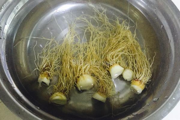 生姜葱须白萝卜汤的做法图解1