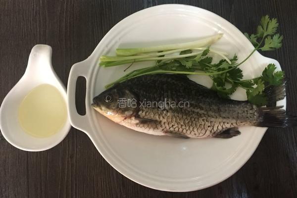 鲫鱼汤的做法图解1