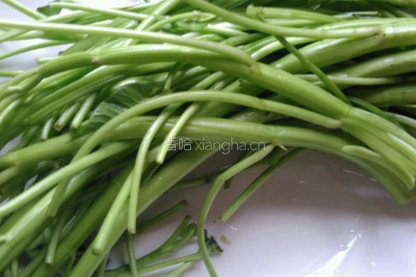 家常炒空心菜梗的做法图解1