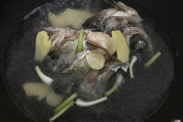 白炖鲢鱼汤的做法图解5