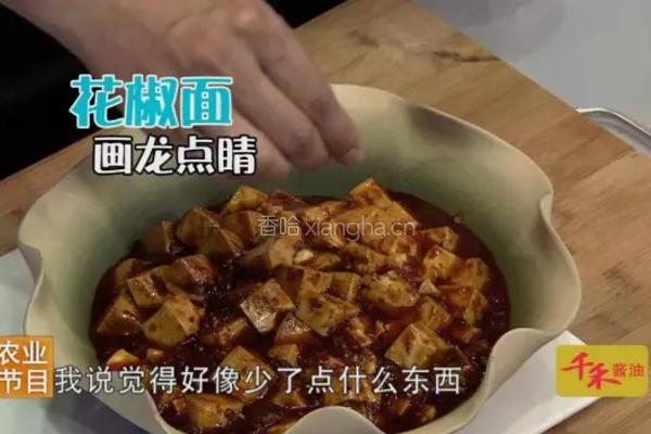 CCTV7《食尚大转盘》麻婆豆腐的做法图解8