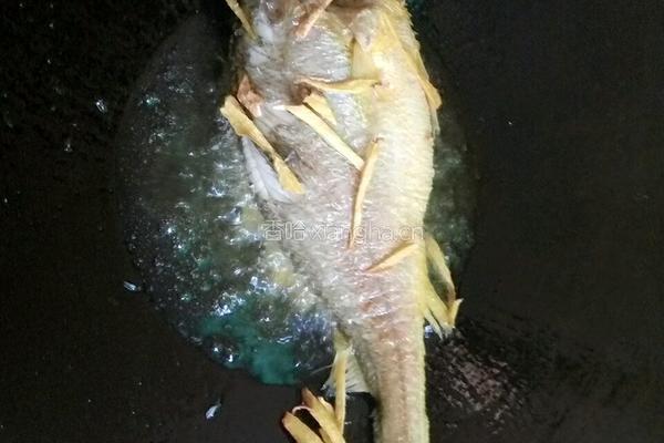 酸菜黄花鱼的做法图解5