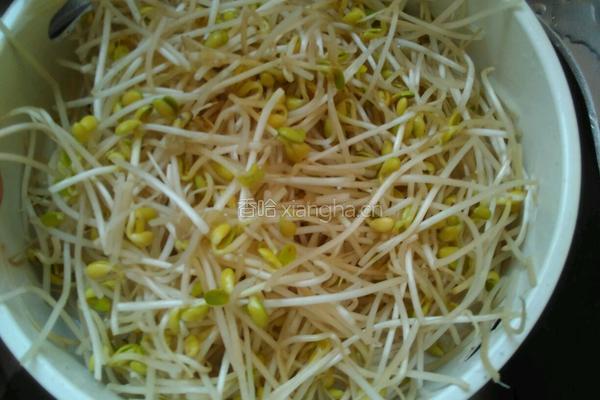 酱爆豆芽百叶的做法图解1