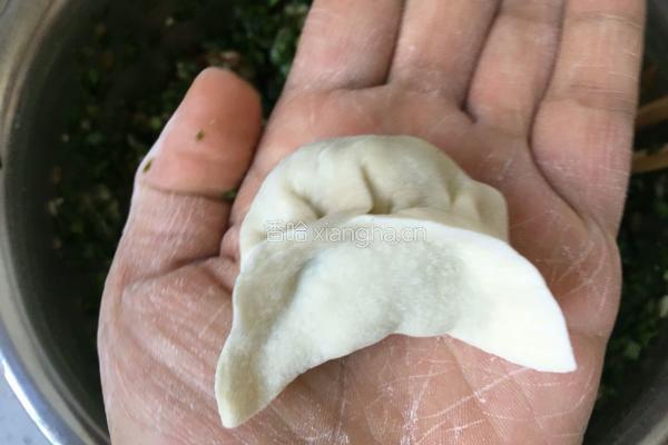 猪肉韭菜饺子的做法图解13