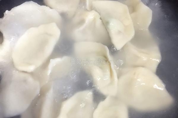 黄瓜饺子的做法图解9